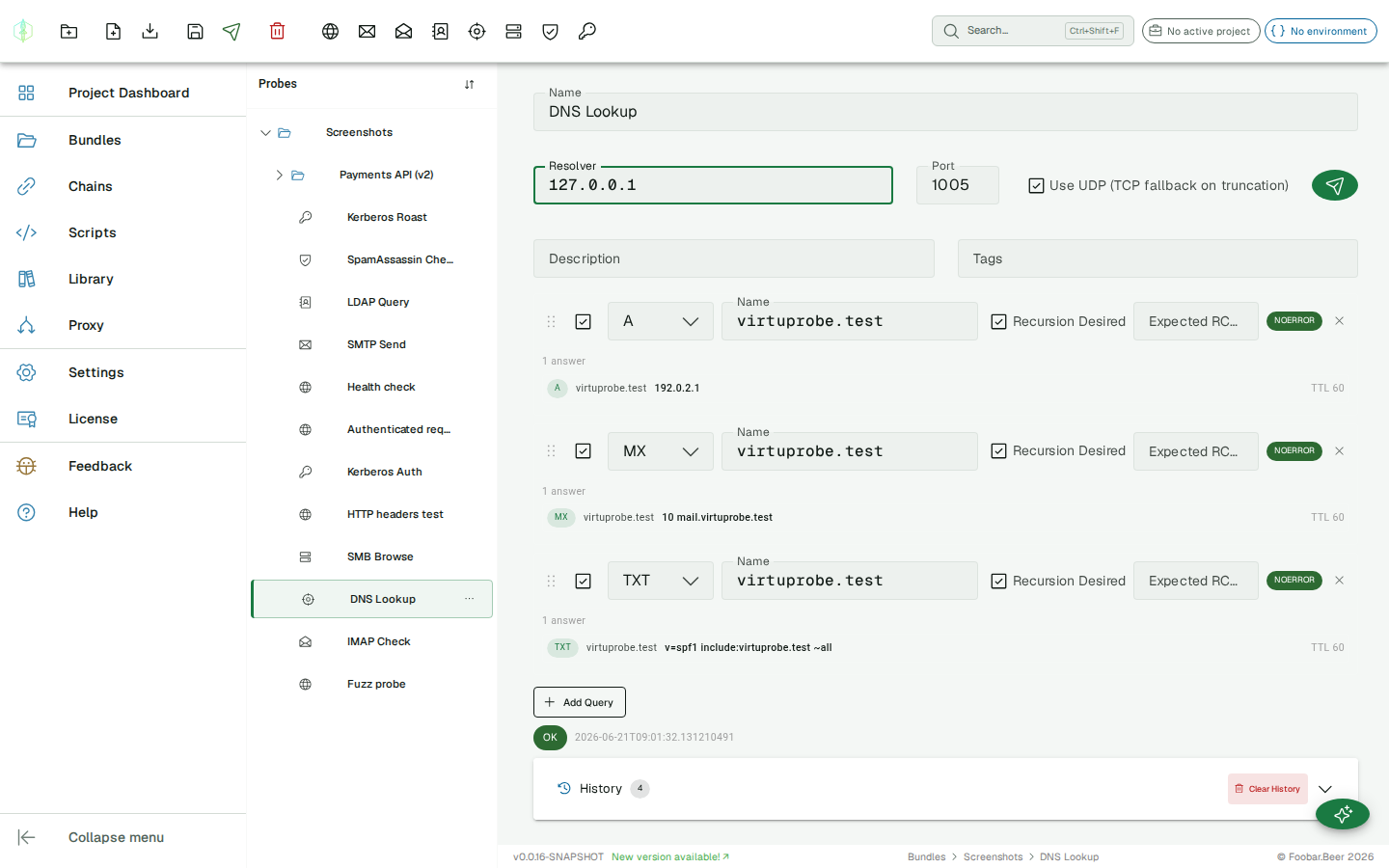 DNS probe editor — resolver/port/UDP settings, query list with answer records