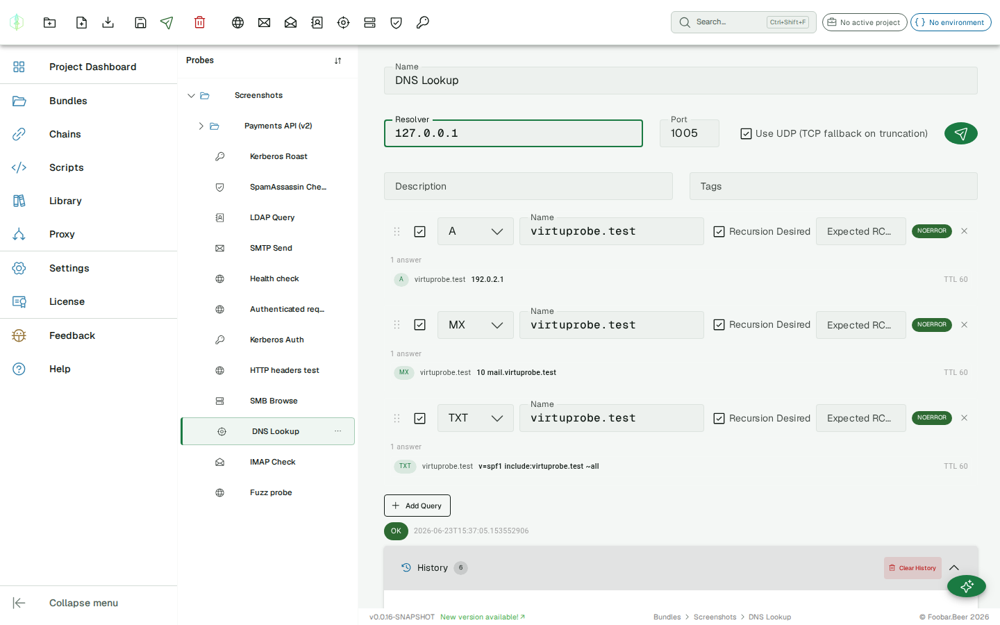 DNS history panel — expanded entry showing query blocks with answer records